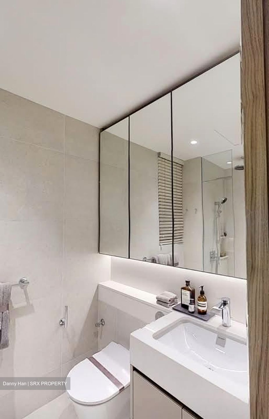 The Reserve Residences (D21), Apartment #572181121